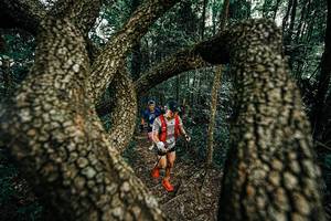 BIB: 
                            <button type="button" onclick="openModal(25392796)" class="btn btn-primary btn-sm float-right btn-popup" data-toggle="modal" data-target=".modal-high-quality">
                        <i class="fas fa-shopping-cart"></i> Add to Cart
                    </button>
                                            <button type="button" onclick="isThisMe(25392796, true)" class="btn btn-success btn-sm float-right btn-popup btn-isme hidden" data-toggle="tooltip" data-placement="bottom" title="นี่คือรูปของคุณใช่ไหม คลิกที่นี่เพื่อเอาเข้าอัลบั้ม">
                        <i class="fas fa-plus"></i> Add to album
                    </button>
                    <button type="button" onclick="isThisMe(25392796, false)" class="btn btn-warning btn-sm float-right btn-popup btn-isnotme hidden">
                        <i class="fas fa-ban"></i> Remove from album
                    </button>